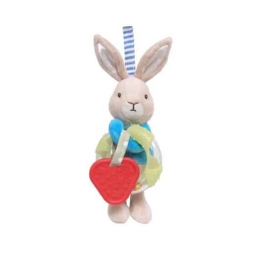 Peter Rabbit Activity Toy